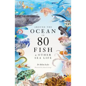 Orion Publishing Co Around The Ocean In 80 Fish And Other Sea Life