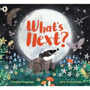 Walker Books Ltd What'S Next? : A Tender Father-And-Son Adventure For 3-7 Year Olds To Share With Dad, Perfect For Bedtime