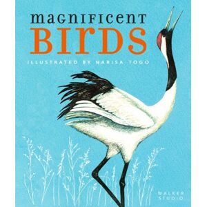Walker Books Ltd Magnificent Birds