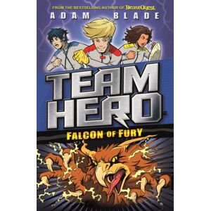 Hachette Children's Group Team Hero: Falcon Of Fury : Series 2 Book 3