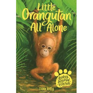 Hachette Children's Group Baby Animal Friends: Little Orangutan All Alone : Book 3