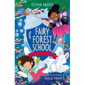 Hachette Children's Group Fairy Forest School: The Snowflake Charm : Book 3