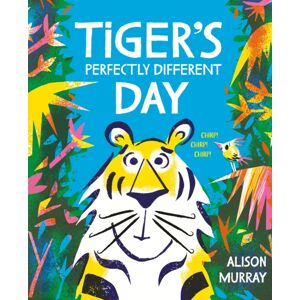 Hachette Children's Group Tiger'S Perfectly Different Day