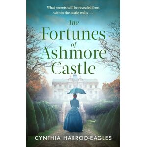 Little, Brown Book Group The Fortunes Of Ashmore Castle : A Captivating Period Drama For 2025 Perfect For Fans Of Downton Abbey And The Gilded Age