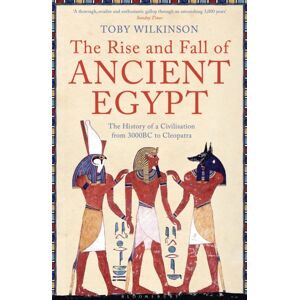 Bloomsbury Publishing PLC The Rise And Fall Of Ancient Egypt