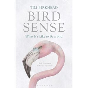 Bloomsbury Publishing PLC Bird Sense : What It'S Like To Be A Bird
