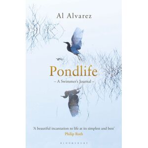 Bloomsbury Publishing PLC Pondlife : A Swimmer'S Journal