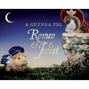 Bloomsbury Publishing PLC A Guinea Pig Romeo & Juliet