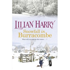 Orion Publishing Co Snowfall In Burracombe : Curl Up This Winter With This Gorgeously Festive Read!
