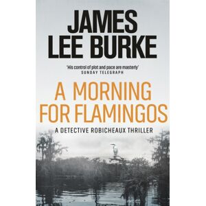 Orion Publishing Co A Morning For Flamingos