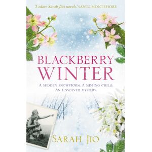 Orion Publishing Co Blackberry Winter : The Stunning Mystery To Curl Up With Over The Winter!