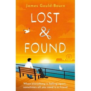 Orion Publishing Co Lost & Found : When Everything Is Falling Apart, Sometimes All You Need Is A Friend