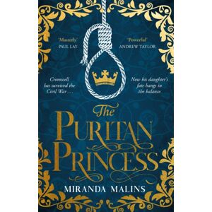 Orion Publishing Co The Puritan Princess : The Stunning And Unforgettable Historical Novel Of Family, Politics And The Price Of Love In The Civil War