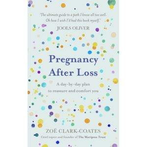 Orion Publishing Co Pregnancy After Loss : A Day-By-Day Plan To Reassure And Comfort You