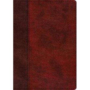 Crossway Books Esv Single Column Journaling Bible, Large Print