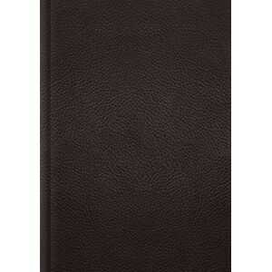 Crossway Books Esv Single Column Journaling Bible, Large Print