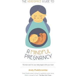 Hodder & Stoughton The Headspace Guide To...A Mindful Pregnancy : As Seen On Netflix