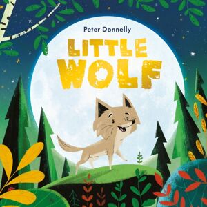 Hachette Children's Group Little Wolf
