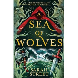 Hachette Children's Group A Sea Of Wolves