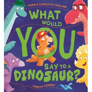 Hachette Children's Group What Would You Say To A Dinosaur?