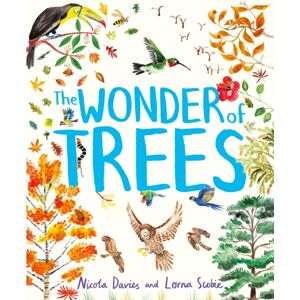 Hachette Children's Group The Wonder Of Trees