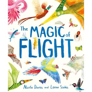 Hachette Children's Group The Magic Of Flight : Discover Birds, Bats, Butterflies And More In This Incredible Book Of Flying Creatures