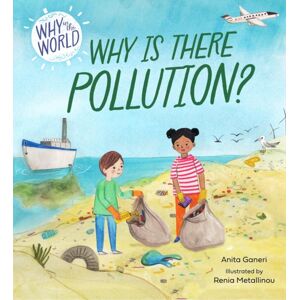 Hachette Children's Group Why In The World: Why Is There Pollution?