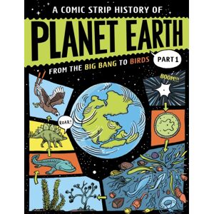 Hachette Children's Group A Comic Strip History Of Planet Earth: Part 1 From The Big Bang To Birds