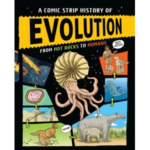 Hachette Children's Group A Comic Strip History Of Evolution : From Hot Rocks To Humans
