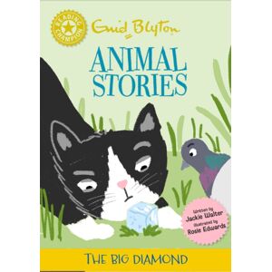 Hachette Children's Group Reading Champion: Enid Blyton Animal Stories: The Big Diamond : Yellow Band 3