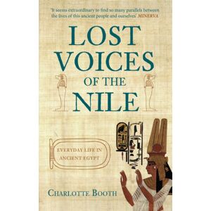 Amberley Publishing Lost Voices Of The Nile : Everyday Life In Ancient Egypt