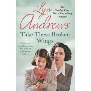 Headline Publishing Group Take These Broken Wings : Can She Escape Her Tragic Past?