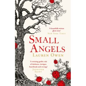 Headline Publishing Group Small Angels : 'A Twisting Gothic Tale Of Darkness, Intrigue, Heartbreak And Revenge' Jennifer Saint