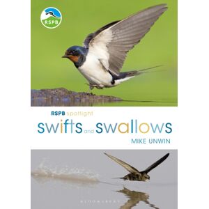 Bloomsbury Publishing PLC Rspb Spotlight Swifts And Swallows