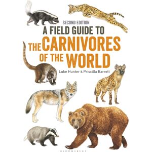 Bloomsbury Publishing PLC Field Guide To Carnivores Of The World, 2nd Edition