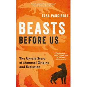 Bloomsbury Publishing PLC Beasts Before Us : The Untold Story Of Mammal Origins And Evolution