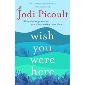Hodder & Stoughton Wish You Were Here : A Completely Gripping, Unputdownable Novel From The selling Author Of My Sister'S Keeper