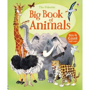Usborne Publishing Ltd Big Book Of Animals