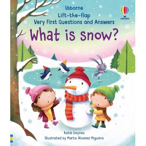 Usborne Publishing Ltd Very First Questions And Answers What Is Snow?