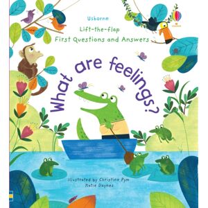 Usborne Publishing Ltd First Questions And Answers: What Are Feelings?