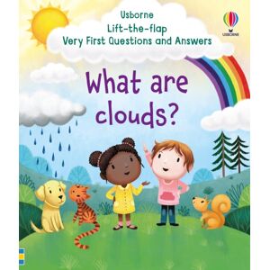 Usborne Publishing Ltd Very First Questions And Answers What Are Clouds?