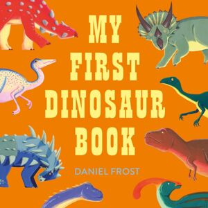 Hachette Children's Group My First Dinosaur Book