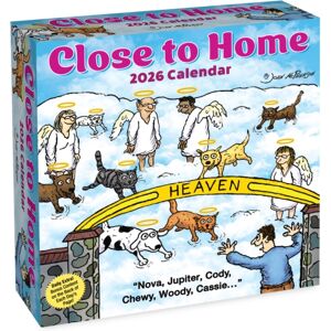 Andrews McMeel Publishing Close To Home 2026 Day-To-Day Calendar
