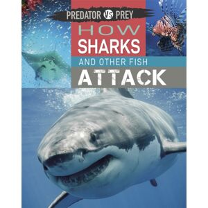 Hachette Children's Group Predator Vs Prey: How Sharks And Other Fish Attack
