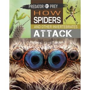Hachette Children's Group Predator Vs Prey: How Spiders And Other Invertebrates Attack