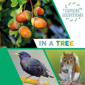 Hachette Children's Group Explore Ecosystems: In A Tree