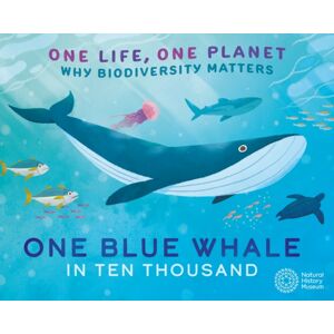 Hachette Children's Group One Life, One Planet: One Blue Whale In Ten Thousand : Why Biodiversity Matters