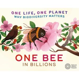 Hachette Children's Group One Life, One Planet: One Bee In Billions : Why Biodiversity Matters