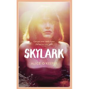 Hodder & Stoughton Skylark : The Compelling Novel Of Love, Betrayal And Changing The World
