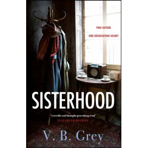 Quercus Publishing Sisterhood : A Heartbreaking Mystery Of Family Secrets And Lies